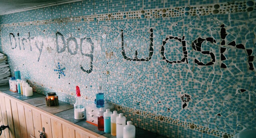 dirty dog wash wall